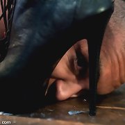 Bobbi Starr dominates and humiliates fresh manmeat and use..